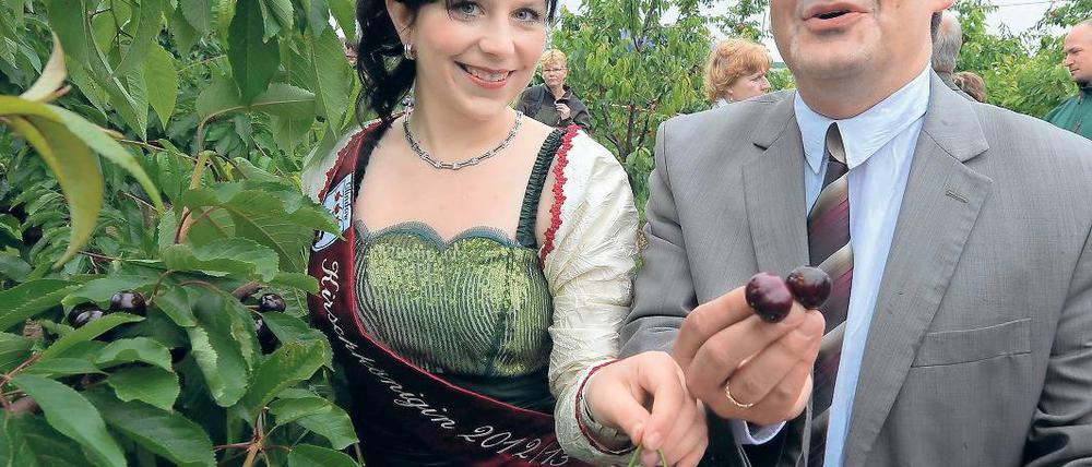 Erntestart 2012. Minister Vogelsänger mit der Kirschkönigin auf dem Obstplan.
