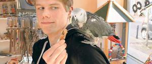 Mausern sich: Maximilian Schulz und sein siebenjähriger Graupapagei Riko. Über 300 Vögel umfasst die Sittichzucht des Babelsbergers. In der Garnstraße hat er nun ein eigenes Geschäft eröffnet. Und dabei soll es nicht bleiben. Der 17-jährige Schulz hat viele Ideen und setzt auf Expansion.