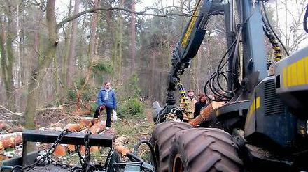 Entsetzen bei Anwohnern. Der Harvester hat eine Schneise geschlagen.