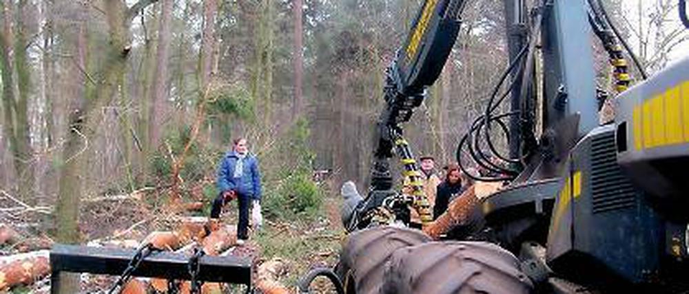 Entsetzen bei Anwohnern. Der Harvester hat eine Schneise geschlagen.
