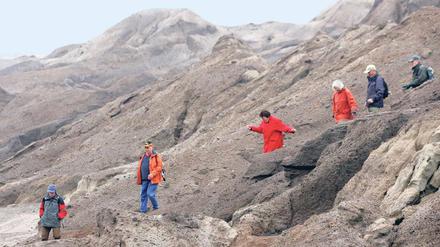 Abenteuer im Tagebau. Wenn es nach Vattenfall ginge, wäre es mit Wanderungen durch den Braunkohletagebau Welzow-Süd – die es seit April 2007 als touristisches Angebot gibt – in etwa 14 Jahren vorbei. Dann wird dort Kohle abgebaggert.