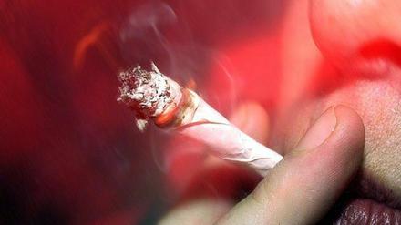 Große Mengen Cannabis wurden bei Beelitz-Heilstätten sichergestellt.