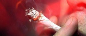 Große Mengen Cannabis wurden bei Beelitz-Heilstätten sichergestellt.