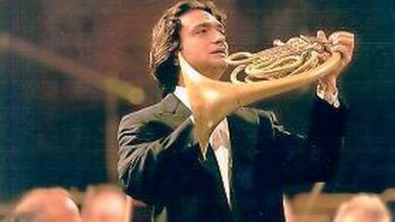 Star-Hornist. Alessio Allegrin.
