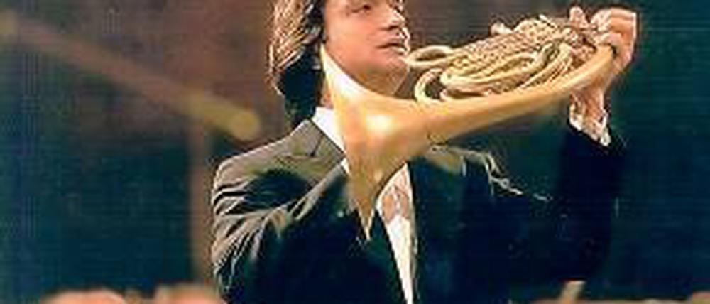 Star-Hornist. Alessio Allegrin.