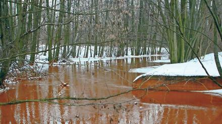 Gefahrenzone Spreewald. Die Zuflüsse zur Spree – wie hier der Mühlenfließ (Foto oben) – sind rotbraun gefärbt. Ihre Fracht, das Eisenocker, bedroht nun auch den Spreewald. Reinigungsanlagen sind seit Jahren außer Betrieb und liegen brach.