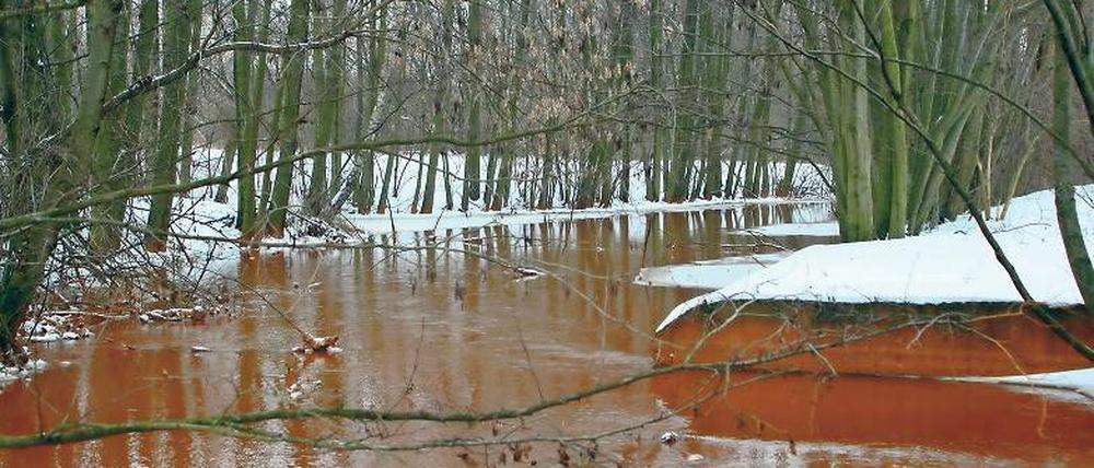 Gefahrenzone Spreewald. Die Zuflüsse zur Spree – wie hier der Mühlenfließ (Foto oben) – sind rotbraun gefärbt. Ihre Fracht, das Eisenocker, bedroht nun auch den Spreewald. Reinigungsanlagen sind seit Jahren außer Betrieb und liegen brach.