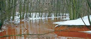 Gefahrenzone Spreewald. Die Zuflüsse zur Spree – wie hier der Mühlenfließ (Foto oben) – sind rotbraun gefärbt. Ihre Fracht, das Eisenocker, bedroht nun auch den Spreewald. Reinigungsanlagen sind seit Jahren außer Betrieb und liegen brach.