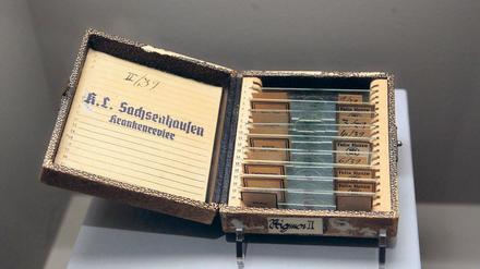 Spuren des Nazi-Terrors. Bereits drei Jahre vor dem Bau des bekannten Konzentrationslagers Sachsenhausen – hier eine Registratur des Krankenreviers – hatten die Nationalsozialisten bei Oranienburg politisch Verfolgte, Gewerkschafter und Künstler inhaftiert.