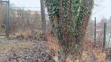 Geschlossen. Seit drei Jahren halten Anrainer den Uferweg am Griebnitzsee gesperrt – inzwischen ragen manche Zäune sogar über die Wasserkante hinaus. Ende 2012 hat die Stadt einen neuen Bebauungsplan beschlossen, um den Weg wieder anlegen zu können. Die ersten Anwohner haben nun Klage gegen den B-Plan eingereicht.