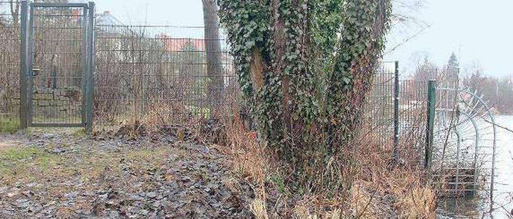 Geschlossen. Seit drei Jahren halten Anrainer den Uferweg am Griebnitzsee gesperrt – inzwischen ragen manche Zäune sogar über die Wasserkante hinaus. Ende 2012 hat die Stadt einen neuen Bebauungsplan beschlossen, um den Weg wieder anlegen zu können. Die ersten Anwohner haben nun Klage gegen den B-Plan eingereicht.