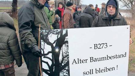 Protest: An der Bundesstraße 273 stehen mehr als 100 Alleebäume. Diese sollen noch in diesem Februar gefällt werden – doch gegen diesen Plan haben am Samstag rund 50 Naturschützer vor Ort demonstriert.