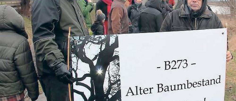 Protest: An der Bundesstraße 273 stehen mehr als 100 Alleebäume. Diese sollen noch in diesem Februar gefällt werden – doch gegen diesen Plan haben am Samstag rund 50 Naturschützer vor Ort demonstriert.