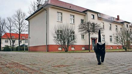 Schlechtes Omen? Wegen unzulässiger Mieterhöhungen muss die Woges Fördergelder zurückzahlen.
