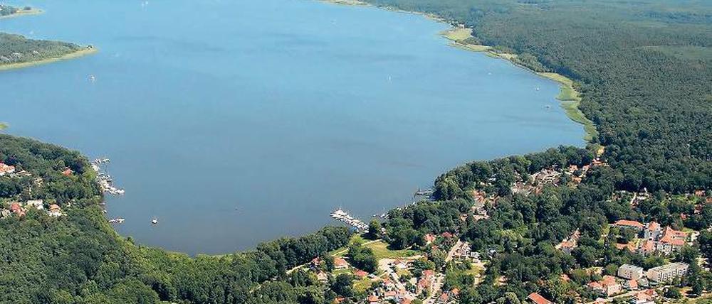 Unwirksamer Bebauungsplan. Hinter der Marina in Ferch steht ein Fragezeichen. Die Beteiligten warten jetzt auf das schriftliche Urteil.