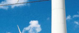 Bevor es schwieriger wird. Die Investoren nutzen eine Grauzone.