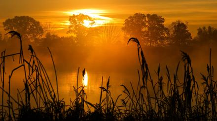 Kalte Morgenstimmung: Nebel üner der Oder.