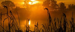 Kalte Morgenstimmung: Nebel üner der Oder.