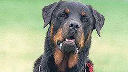 Warnung vor dem Hunde. Auch Rottweiler können sehr gefährlich werden.