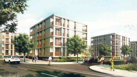 Maßnahme gegen den Potsdamer Wohnungsmangel. Im Bornstedter Feld will die Pro Potsdam ab dem kommenden Jahr 135 bis 180 Wohnungen mit bis zu 9300 Quadratmetern Wohnfläche bauen. Wie im prämierten Entwurf der Berliner Architekten wird das Gebiet später aber wohl nicht aussehen.