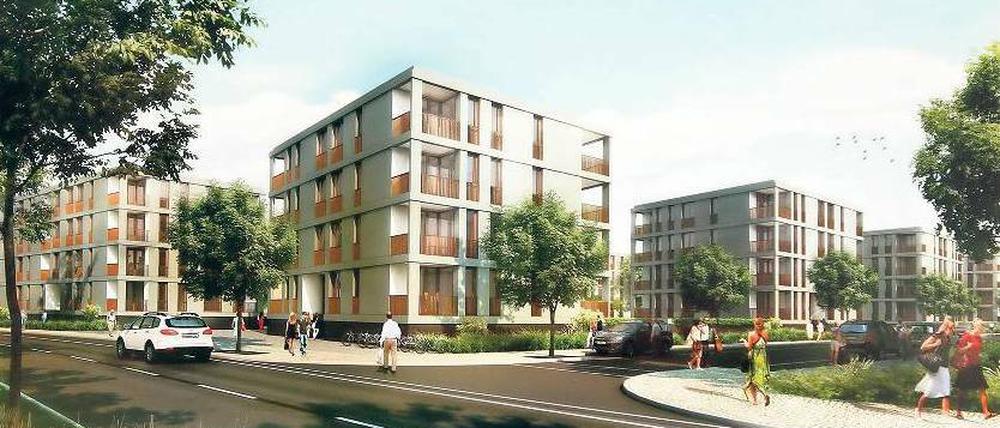 Maßnahme gegen den Potsdamer Wohnungsmangel. Im Bornstedter Feld will die Pro Potsdam ab dem kommenden Jahr 135 bis 180 Wohnungen mit bis zu 9300 Quadratmetern Wohnfläche bauen. Wie im prämierten Entwurf der Berliner Architekten wird das Gebiet später aber wohl nicht aussehen.