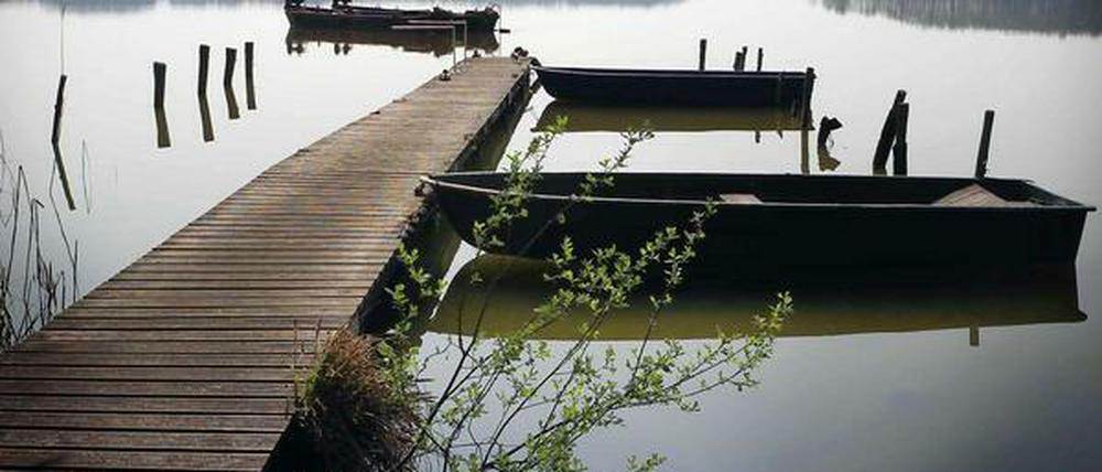 Der dritte Teil unserer Naturserie führt rund um das Märkische Meer. An der Groß Schauener Seenkette bei Storkow freuen sich Fische auf viele Besucher.