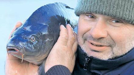 Alle Hände voll zu tun hat Potsdams Fischer Mario Weber an den letzten Tagen des Jahres. Traditionell haben viele zu Weihnachten und Silvester Karpfen auf dem Tisch. Auch heute werden auf dem Fischerhof an der Stadtmauer Fische verkauft.