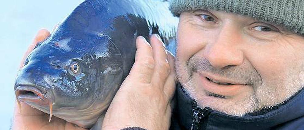 Alle Hände voll zu tun hat Potsdams Fischer Mario Weber an den letzten Tagen des Jahres. Traditionell haben viele zu Weihnachten und Silvester Karpfen auf dem Tisch. Auch heute werden auf dem Fischerhof an der Stadtmauer Fische verkauft.