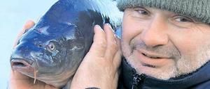 Alle Hände voll zu tun hat Potsdams Fischer Mario Weber an den letzten Tagen des Jahres. Traditionell haben viele zu Weihnachten und Silvester Karpfen auf dem Tisch. Auch heute werden auf dem Fischerhof an der Stadtmauer Fische verkauft.