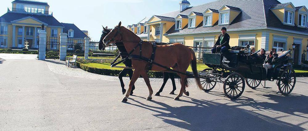 Südstaatenflair. Das Anwesen der Familie Hesterberg wurde vor 15 Jahren komplett neu gebaut. Besucher können den Hofbetrieb im der Kutsche erkunden.