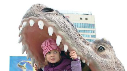 Saurier-Fieber: Noch bis zum 30. Dezember gastiert am Lustgarten eine Ausstellung, bei der Dutzende lebensgroße Dino-Modelle gezeigt werden. Die Stadtverwaltung hofft indes, einen Investor nach Potsdam locken zu können, der einen Freizeitpark mit 200 Saurier-Modellen eröffnet. Eigentlich war so ein Park für die defizitäre Biosphäre geplant.
