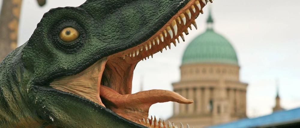 Saueriernachbildungen - so wie dieses hier bei der derzeit laufenden Ausstellung im Lustgarten - sollen dauerhaft nach Potsdam kommen.