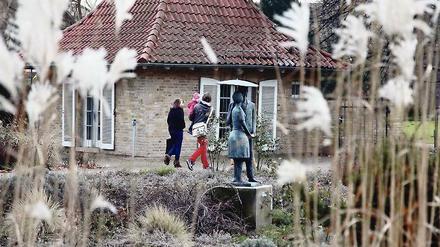Schlittenfahren abgesagt. Das milde Wetter eignete sich am Donnerstag wie an den Weihnachtstagen eher zum Spazieren - wie hier auf der Freundschaftsinsel. Der Schnee der Vorweihnachtstage wird auch in den nächsten nicht zurückkommen.