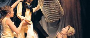 Angst vor Veränderung. Der Papagei aus „Die Konferenz der Vögel“ will wieder in seinen Käfig zurück.