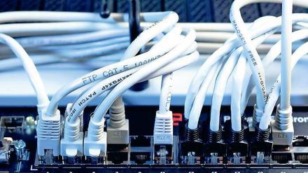 Schneller Brüter. Die Integration der Datensoftware beschleunigt die Abläufe.