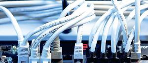 Schneller Brüter. Die Integration der Datensoftware beschleunigt die Abläufe.
