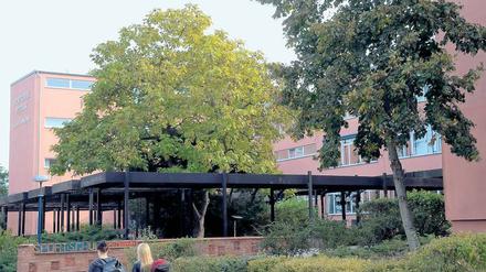 Die Eliteschule des Sports. Im Bildungsausschuss wurde der Umgang mit einem aktuellen Drogenvorfall kontrovers diskutiert.