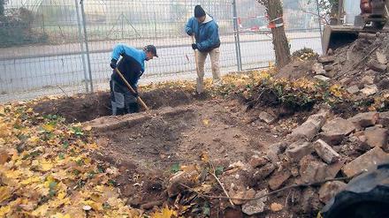 Wichtige Aufschlüsse. Einige Fundamente des alten Gutshofes sind bereits zu sehen. Weil der Baumbestand nicht gefährdet werden soll, ist vom Team der Martin Wurzel Archäologie und Umwelttechnik GmbH viel Handarbeit mit der Schaufel gefordert.