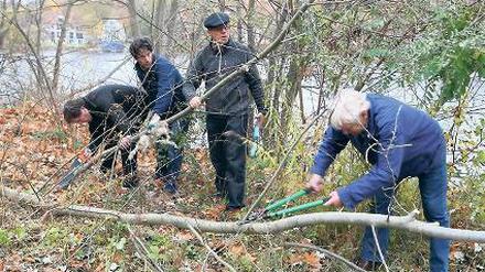 Gestrüpp ab. Das Griebnitzsee-Ufer wurde von Wildwuchs befreit.