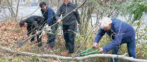 Gestrüpp ab. Das Griebnitzsee-Ufer wurde von Wildwuchs befreit.