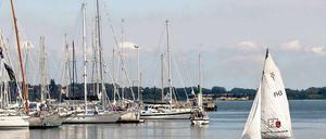 Jachthafen Stralsund. Von märkischen Fördergeldern profitiert bisweilen vor allem der Ostseeraum.