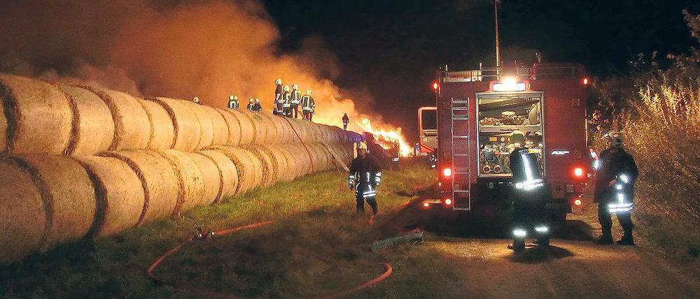 In Flammen. Die Feuerwehr beim Großeinsatz in Bornim am Sonntagabend.