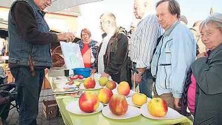 Schwergewichte: Mehr als 500 Gramm wogen manche Äpfel.