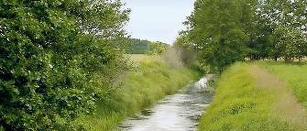 Noch entwässert er die Wiesen. Künftig soll der Königsgraben gestaut werden.