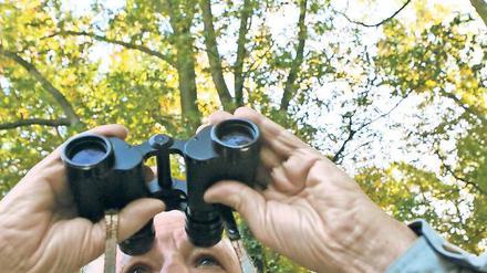 Genau hingeschaut. Horst Goltz ist einer von bundesweit rund 1250 ehrenamtlichen phänologischen Beobachtern. Er notiert täglich Veränderungen an Bäumen und Pflanzen. Aus den Daten zieht der Deutsche Wetterdienst Rückschlüsse aufs Klima.