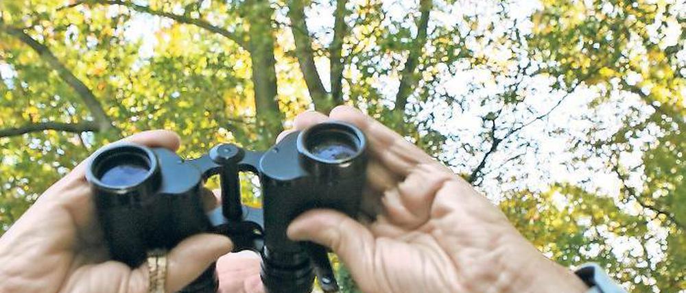 Genau hingeschaut. Horst Goltz ist einer von bundesweit rund 1250 ehrenamtlichen phänologischen Beobachtern. Er notiert täglich Veränderungen an Bäumen und Pflanzen. Aus den Daten zieht der Deutsche Wetterdienst Rückschlüsse aufs Klima.