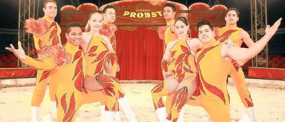 Kubanisch bunt. Die acht Artisten der Gruppe „Havanna“ sind seit März eine der Hauptattraktionen des Zirkus’ Probst. Ihre Hochseilakrobatik raubt den Zuschauern jedesmal den Atem.