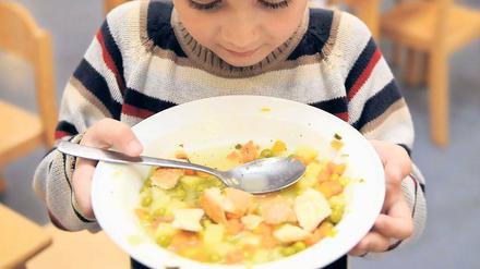 Auf der Spur. Tiefgefrorene Erdbeeren aus China waren offenbar eine Ursache für die massenhaften Magen-Darm-Erkrankungen von Kindern und Jugendlichen in Ostdeutschland. Doch die Erdbeer-Spur kann nur eine von mehreren Ursachen sein.