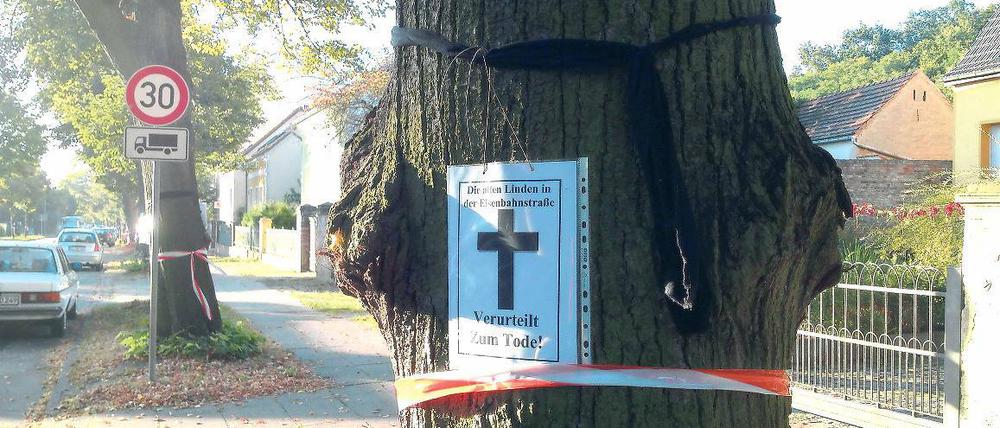 Protest. Gegen die geplante Fällung alter Linden haben Anwohner in den vergangenen Tagen auch mit Flugblättern demonstriert.