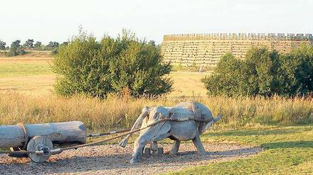 Historischer Ort. Die Slawenburg Raddusch wurde dort errichtet, wo Ausgrabungen auf eine vor 1200 Jahren errichtete Burg schließen lassen.